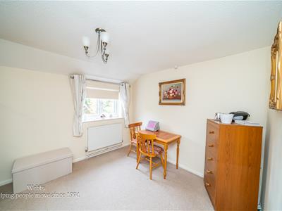 Picture 14